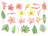 Watercolor Frame of tropical flowers and leaves. Hand drawing palm leaves, strelitzia, anthurium, plumeria and hibiscus