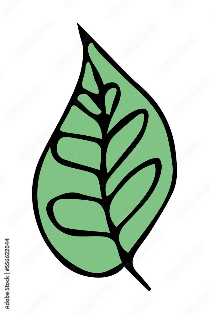 Naklejka premium Hand drawn simple leaf. Eco doodle clipart. Botanical illustration