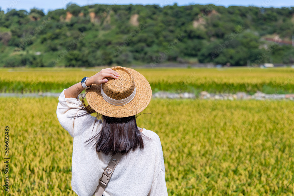 Travel woman visit the rice field in countryside