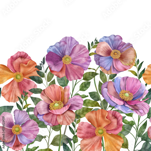 Colorful Buttercup flowers and leaves seamless border isolated on white Spring blossom watercolor botanical illustration Vibrant summer floral print © Lia