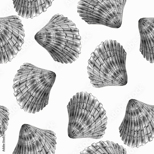 Seamless black and white pattern with seashells. Hand drawn sketch style illustration.