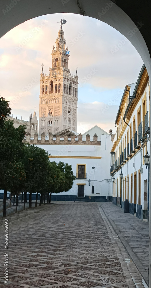 View of the bell tower La Giralda from the Patio de las Banderas, Cathedral of Seville, Real Alcazar de Seville, Seville, Andalusia, Spain 