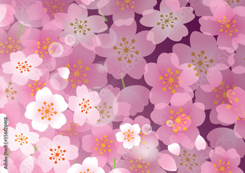 桜　春　和風　背景
