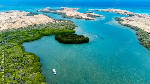 Saudi Arabia, Jazan Province, Aerial view of mangrove forest in Farasan Islands archipelago