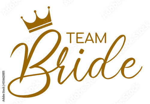 Team bride bachelorette party vector calligraphy design.hen party or bridal shower hand written calligraphy card, banner or poster graphic design lettering vector element. Bride to be quote