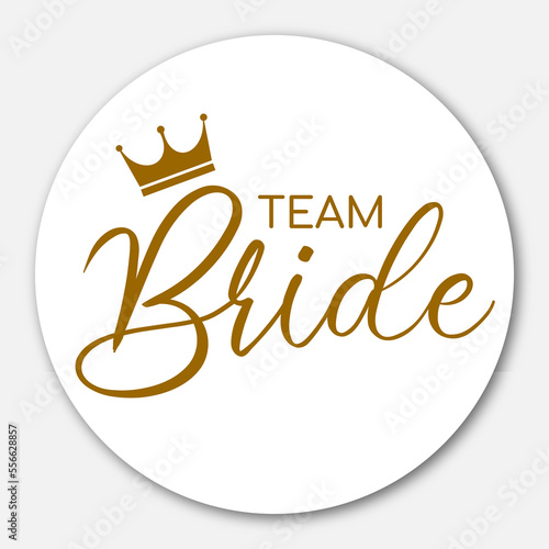 Team bride bachelorette party vector calligraphy design.hen party or bridal shower hand written calligraphy card, banner or poster graphic design lettering vector element. Bride to be quote
