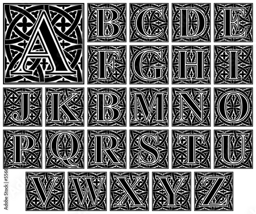 elegant ornamental letter alphabet / vintage capital vector set