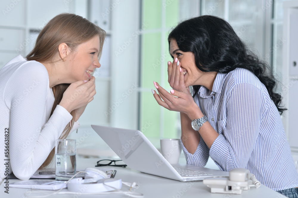 Young businesswomen discussing something in modern office Young businesswomen discussing something in modern office