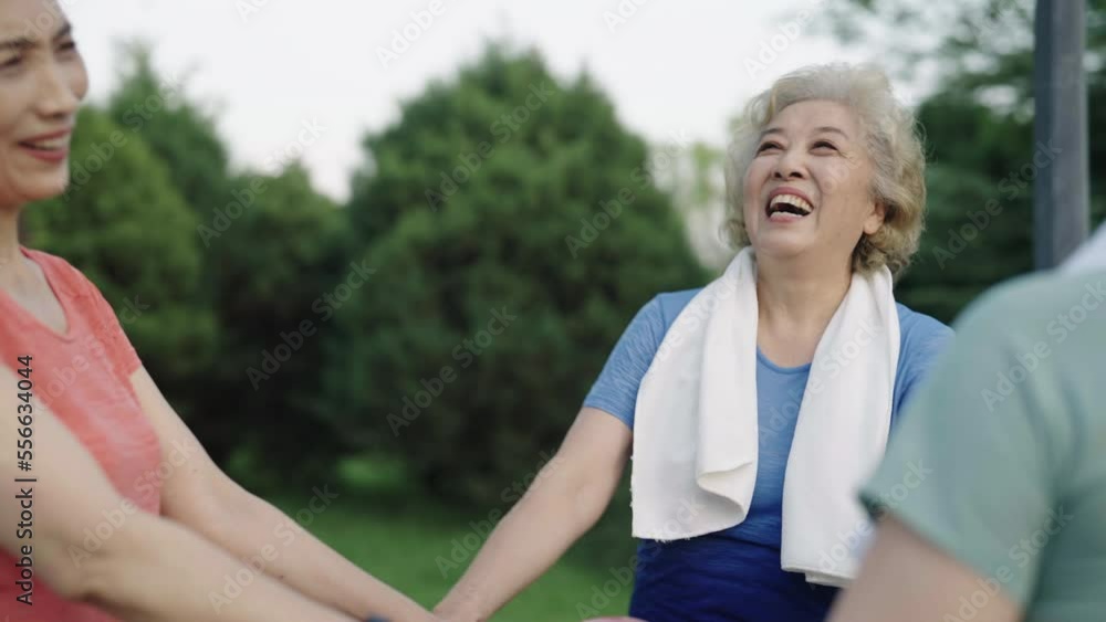 Happy senior friends exercising in park,4K Happy senior friends exercising in park,4K