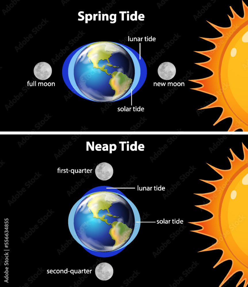 Diagram showing earth tides Stock Vector | Adobe Stock