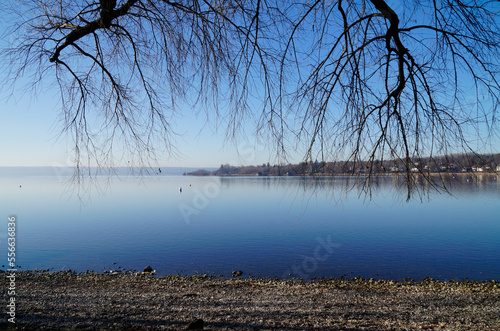 Принти на полотні wintery peaceful scenery with lake Ammersee in Herrsching in Bavaria (Germany)