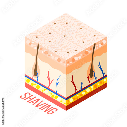 Shaving Skin Diagram Composition