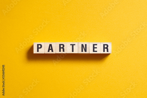 Partner - word concept on cubes