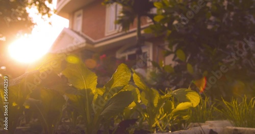 Family home, Property insurance. Family house in the rays of the sunset sun, a house at sunset, the sun shines through the trees. Symbol of home, happiness. Rural life concept. Dream of buying house