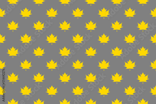 pattern of yellow maple leaves on a gray background. template for application to the surface. Horizontal image.