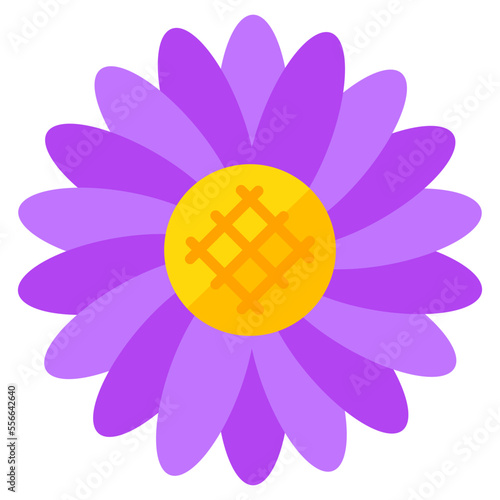 An eye catching design of rosette flower