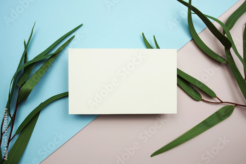 Empty invitation card mockup with green eucalyptus leaves on pink and blue background