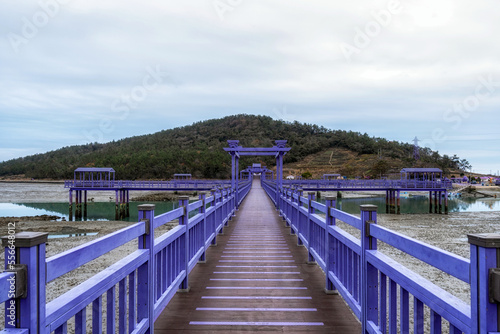 Sinan purple islands in winter