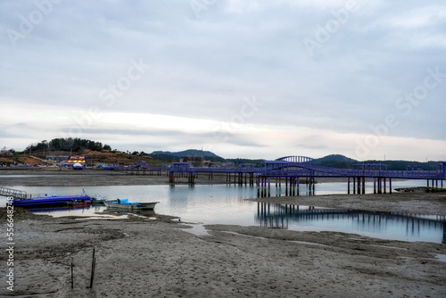 Sinan purple islands in winter