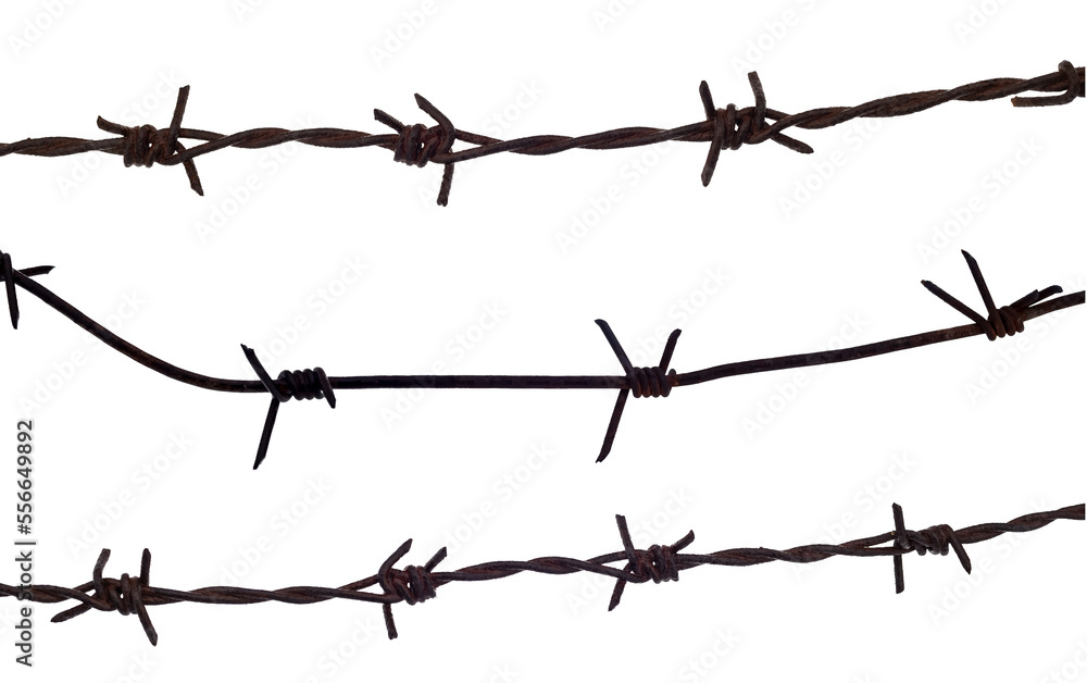 Barbed wire on a white background. Wire isolate close-up. Protection from criminals Barbed wire on a white background. Wire isolate close-up. Protection from criminals