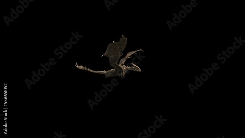 Dragon Flying Transparent Alpha Animation