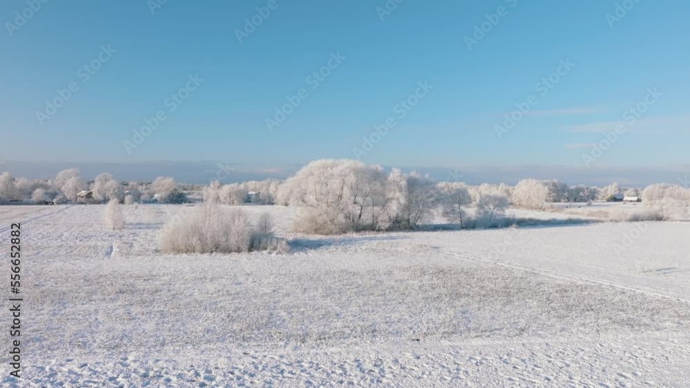 Aerial establishing view of a rural landscape in winter, snow covered countryside fields and trees, cold freezing weather, sunny winter day with blue sky, wide ascending drone shot moving forward Aerial establishing view of a rural landscape in winter, snow covered countryside fields and trees, cold freezing weather, sunny winter day with blue sky, wide ascending drone shot moving forward