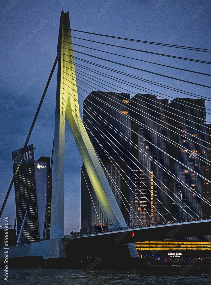 Obraz premium bridge over the river