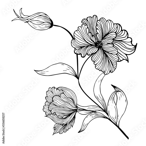 Floral composition, floral background with tender flowers and branches of buds. Hand drawing. For stylized decor, invitations, cards, posters, flyers, for printing on fabric and paper, for backgrounds