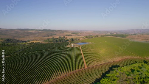 Wallpaper Mural Coffee farm, scenery and everyday life in the countryside

 Torontodigital.ca