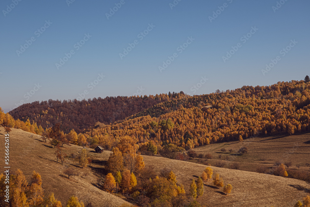 Naklejka premium beautiful autumn landscapes in the Romanian mountains, Fantanele village area, Sibiu county, Cindrel mountains, Romania