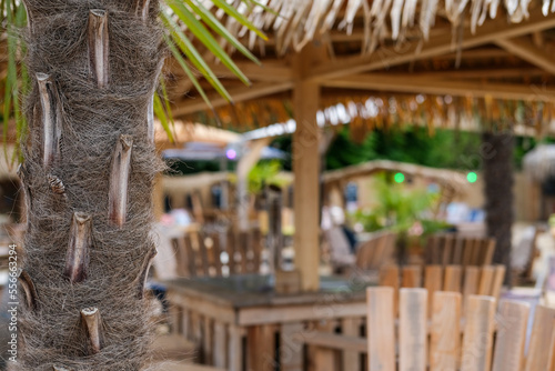 Konzept Beachclub: Detail einer Palme im Außenbereich eines großen Restaurants oder einer Bar mit Tischen, Bänken und Lauben aus Holz sowie Dekoration, Sonnenschirmen und Palmenblättern photo