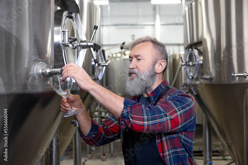 Brewery worker pouring fresh beer into the glass photo