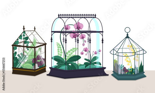 Vintage terrariums