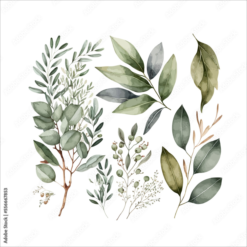 Watercolor floral illustration set - green leaf branches collection ...