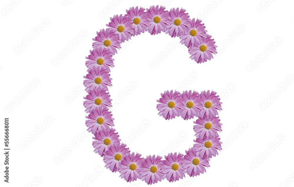 Letter G made with pink flower isolated on white background. Spring concept idea.
