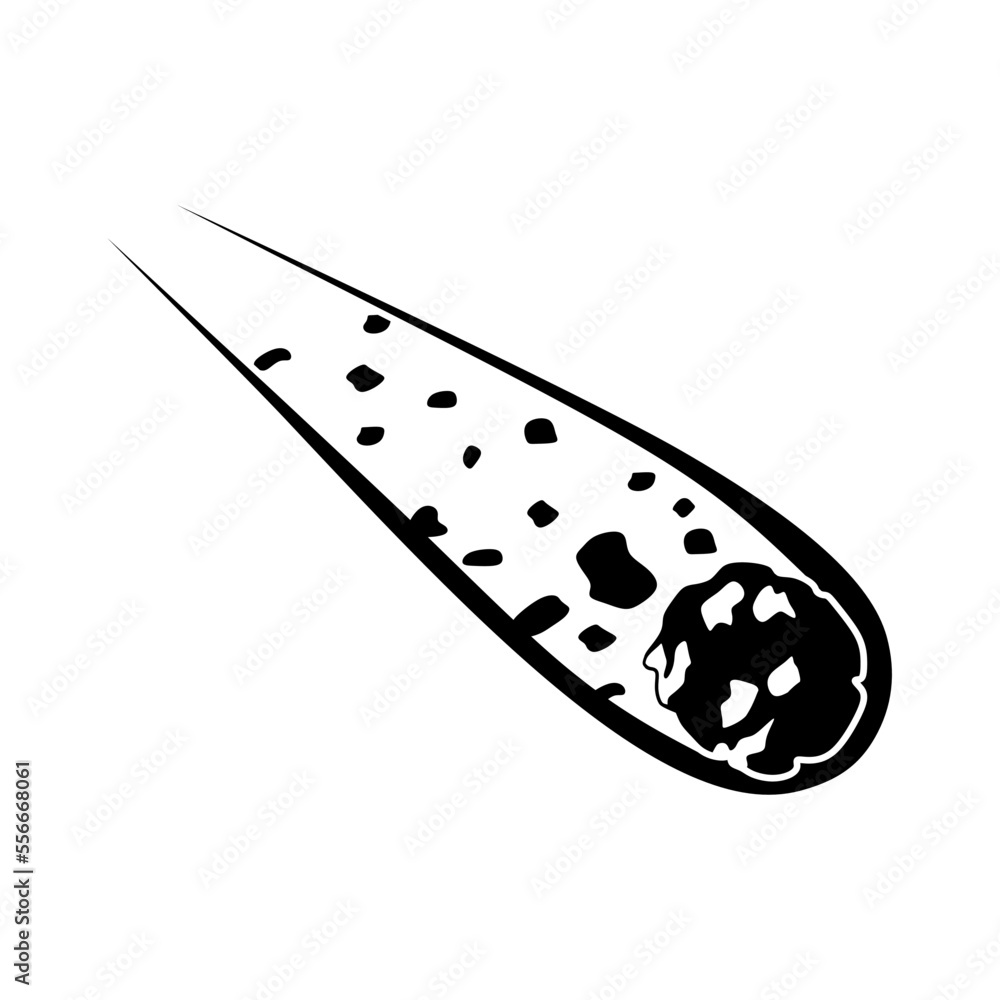 Comet icon vector. Asteroid illustration sign. Meteorite symbol. Cosmos logo. Comet icon vector. Asteroid illustration sign. Meteorite symbol. Cosmos logo.
