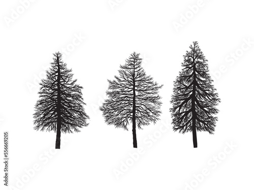 pine and spruce tree silhouette, hand drawing fir tree
