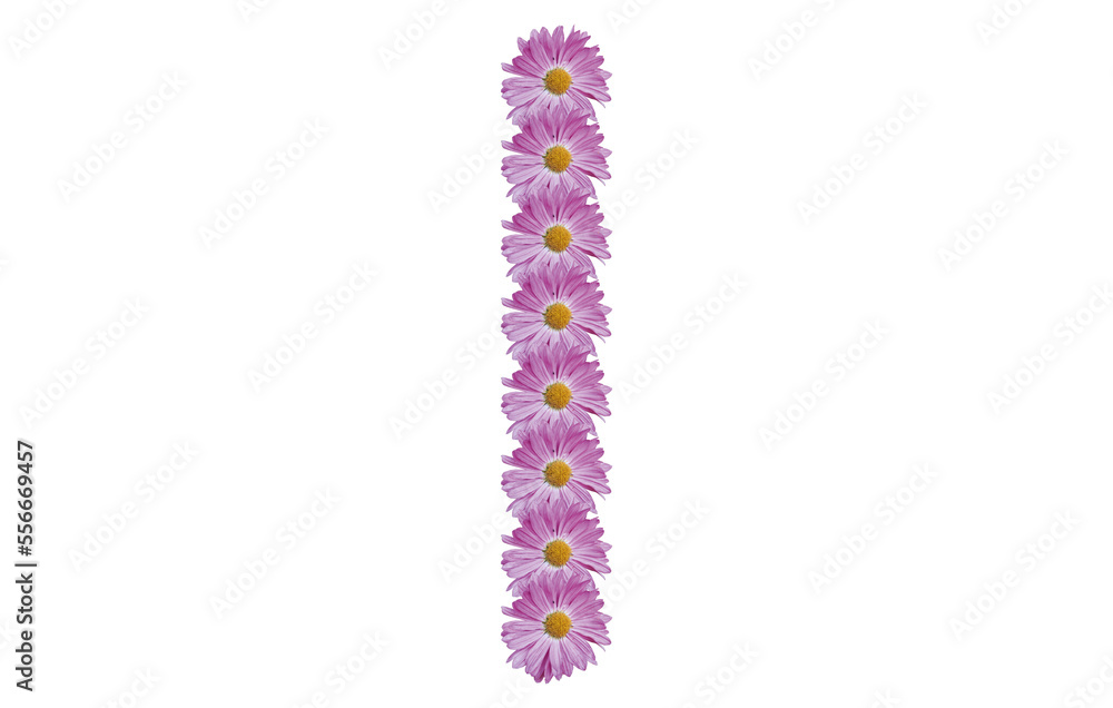 Letter I made with pink flower isolated on white background. Spring concept idea.
