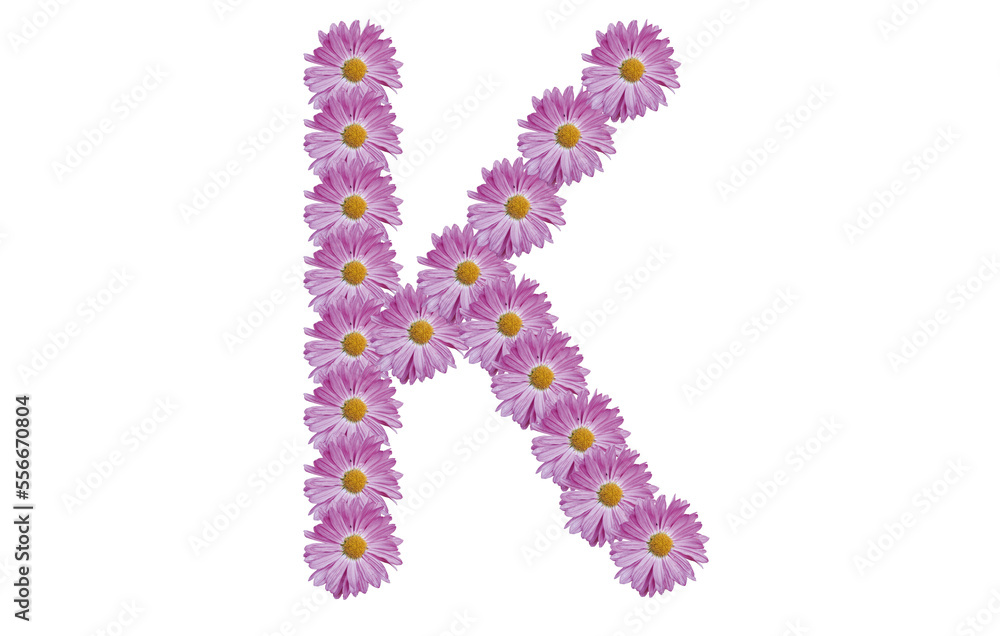 Letter K made with pink flower isolated on white background. Spring concept idea.
Letter K made with pink flower isolated on white background. Spring concept idea.