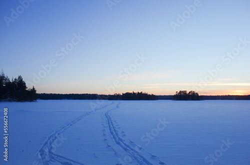 Winter landscape on snowy lake ice with ski tracks in the snow in the blue hour © Milla Rasila