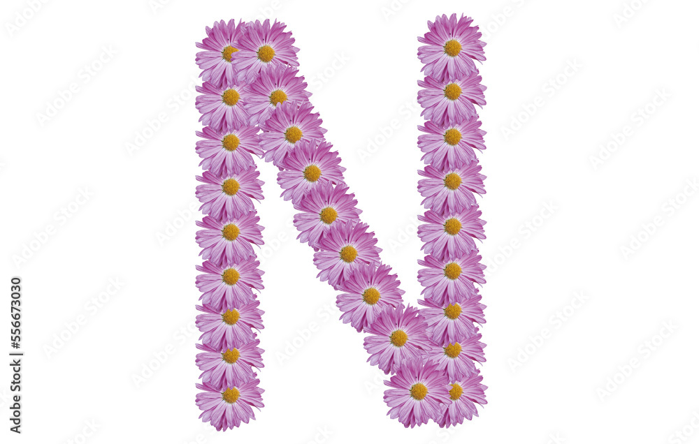 Letter N made with pink flower isolated on white background. Spring concept idea.
