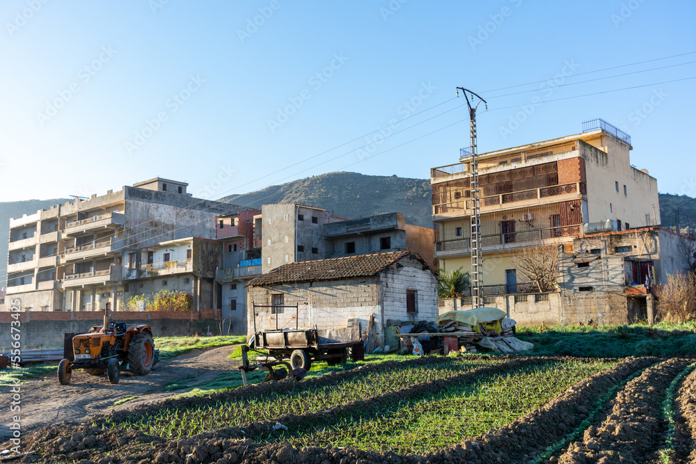 Rural scenery for an old small farmhouse in the village. Rural scenery for an old small farmhouse in the village.