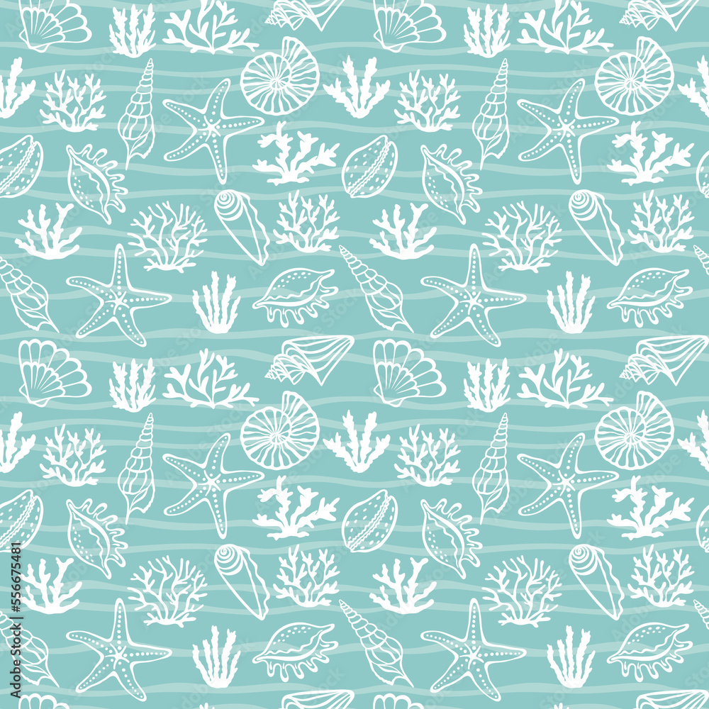 Fototapeta premium Collection of seashells algae and corals