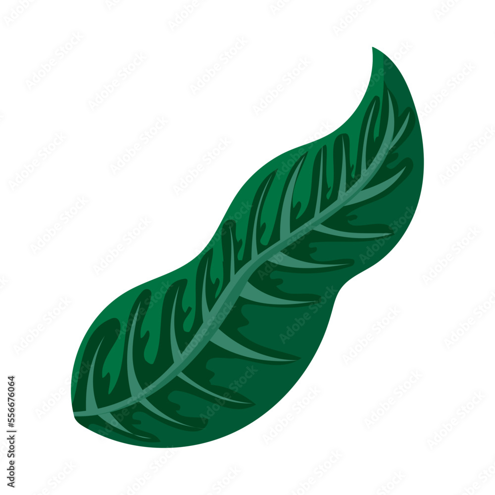 leaf vector design leaf vector design