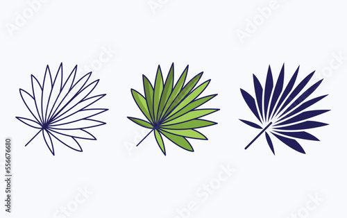 Cabbage palmetto leaf illustration icon