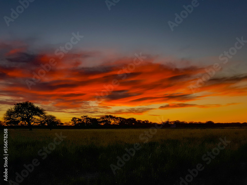 Atardecer en el campo con caldenes de fondo. La Pampa Argentina © EmiShots