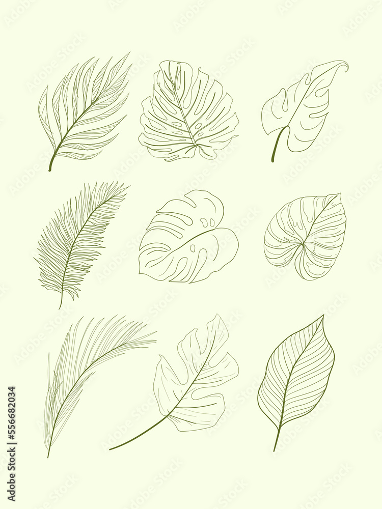 set of leaves set of leaves