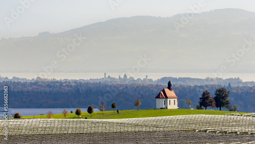Bodenseepanorama mit der Haldenbergkapelle