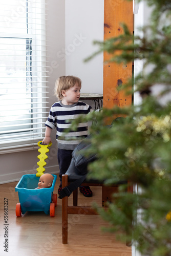 Vertical side view of blond toddler boy looking at bookcase while playing with doll in wagon, with Christmas tree in soft focus foreground © Anne Richard