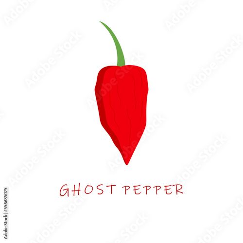 ghost pepper flat design vector illustration. Capsicum chinense ghost chili.